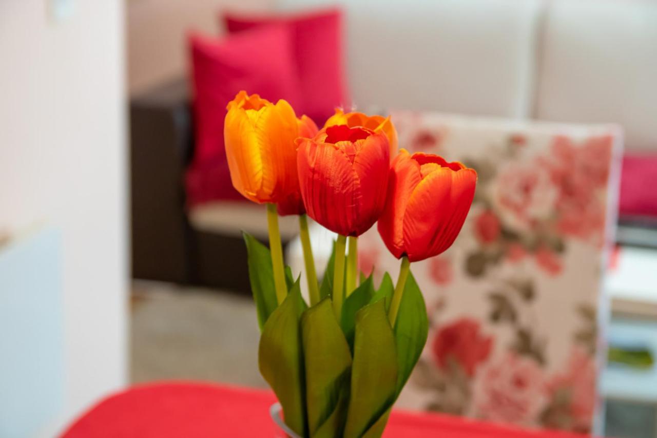 Butterfly Apartment Mostar Bagian luar foto